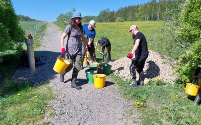 Myllyojan uoman kunnostus ja monimuotoisuuden lisääminen
